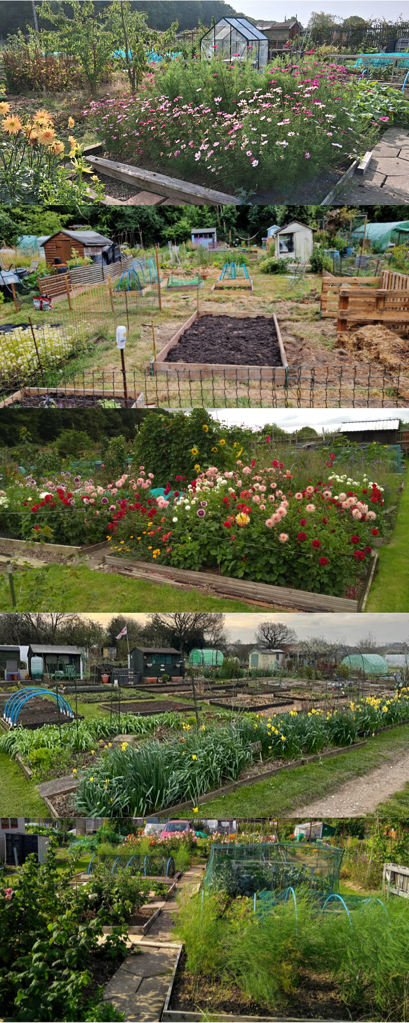 A selection of plots from BHS-CIO members